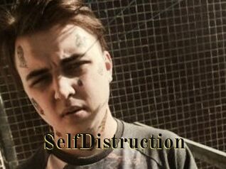 SelfDistruction