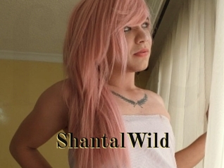 ShantalWild Films 2 Q