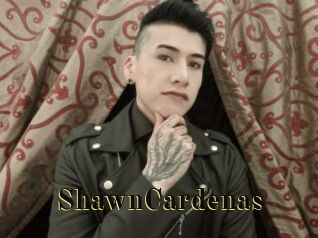 ShawnCardenas