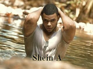 Shein_A