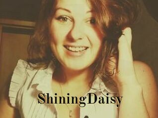 ShiningDaisy