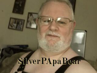 SilverPApaBear