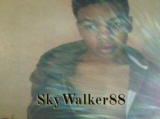 SkyWalker88