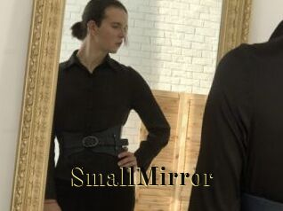 SmallMirror