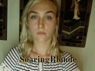 SoaringBlonde