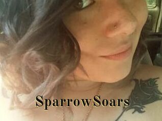 SparrowSoars