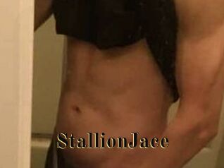 StallionJace