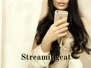 Streamingcat