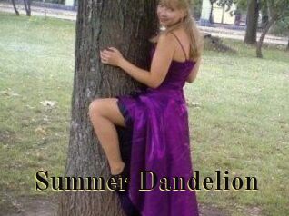 Summer_Dandelion