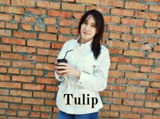 Tulip
