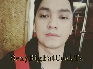 _SexyBigFatCockTs_