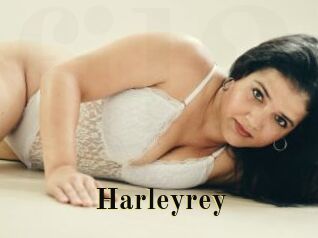 Harleyrey