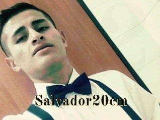 Salvador20cm