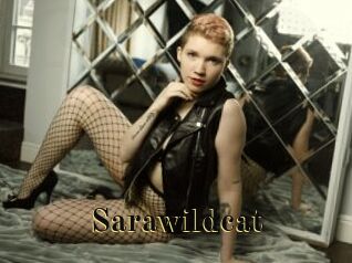 Sarawildcat