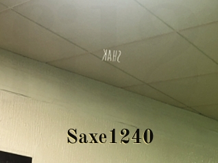 Saxe1240