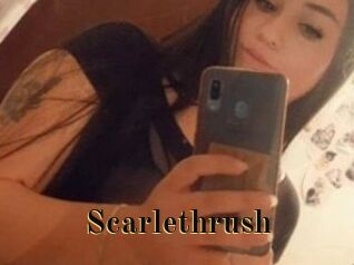 Scarlethrush