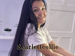 Scarlettcollie