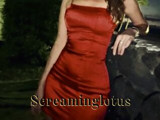 Screaminglotus