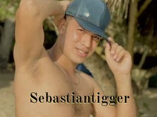 Sebastiantigger
