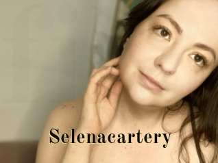 Selenacartery