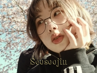 Seosoojin