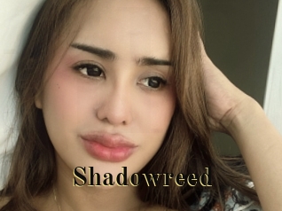 Shadowreed