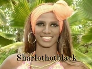 Sharlothotblack