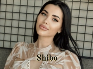 Shibo