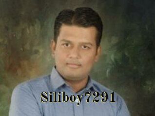 Siliboy7291