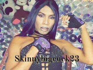 Skinnybigcock23