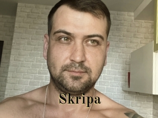 Skripa