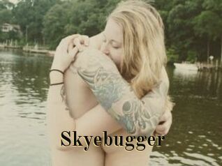 Skyebugger