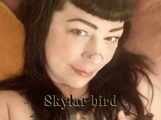 Skylar_bird