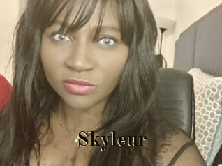 skyleur Films 2 Q