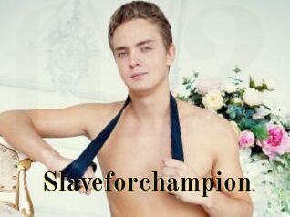 Slaveforchampion