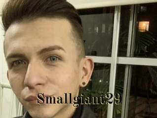 smallgiant29 Films 2 Q
