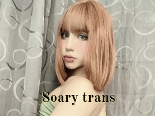 Soary_trans