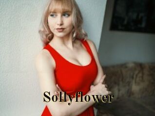 Sollyflower