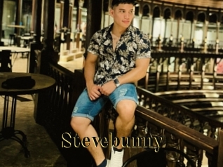 stevebunny Films 2 Q