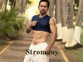 Stromguy