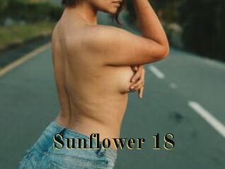 Sunflower_18