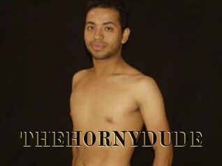 THEHORNYDUDE