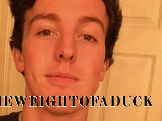 THEWEIGHTOFADUCK