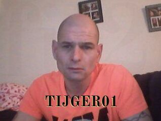 TIJGER01 Films 2 Q
