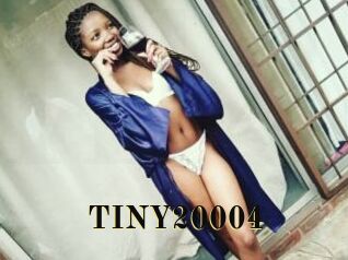 TINY20004