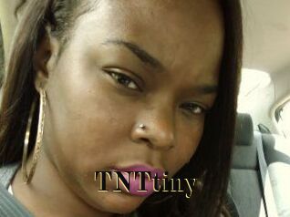 T_N_Ttiny