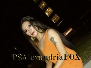 TSAlexandriaFOX