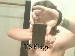 TSFidget