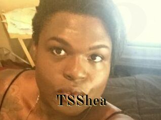 TS_Shea