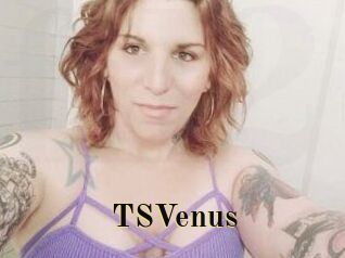 TS_Venus